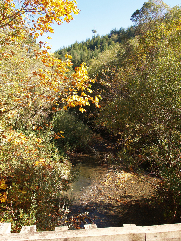 ah-pah-creek6