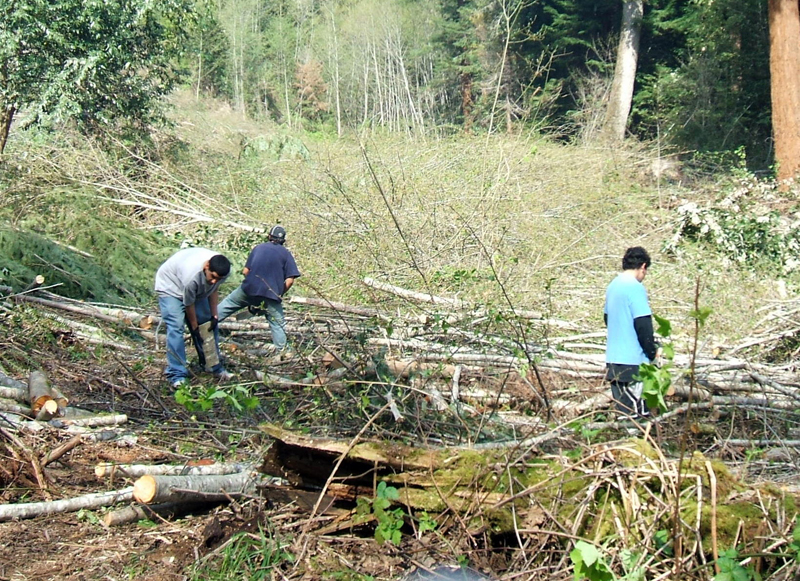 2007_0407April20070031