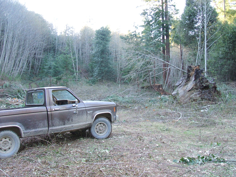 2007_0407April20070004