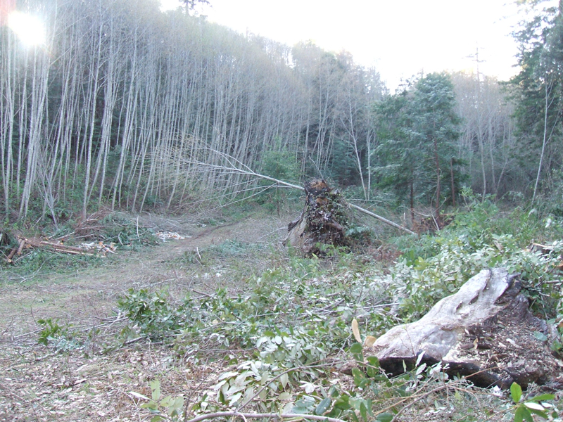 2007_0407April20070005