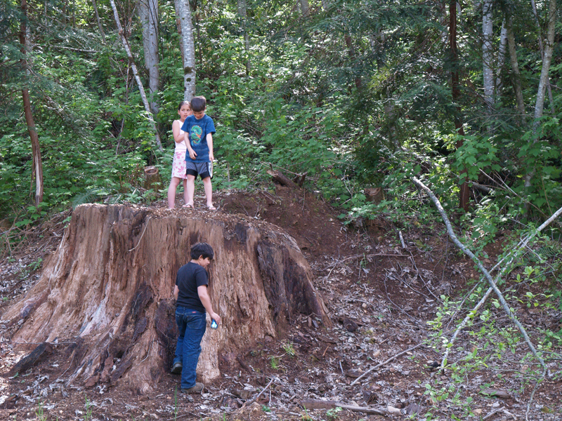 P4137537